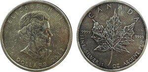 Canadá 5 Dólares 4to Retrato de Elizabeth II | 2012 Plata .9999 • 31.11g • ø 38mm KM# 625 Alineación Medalla 